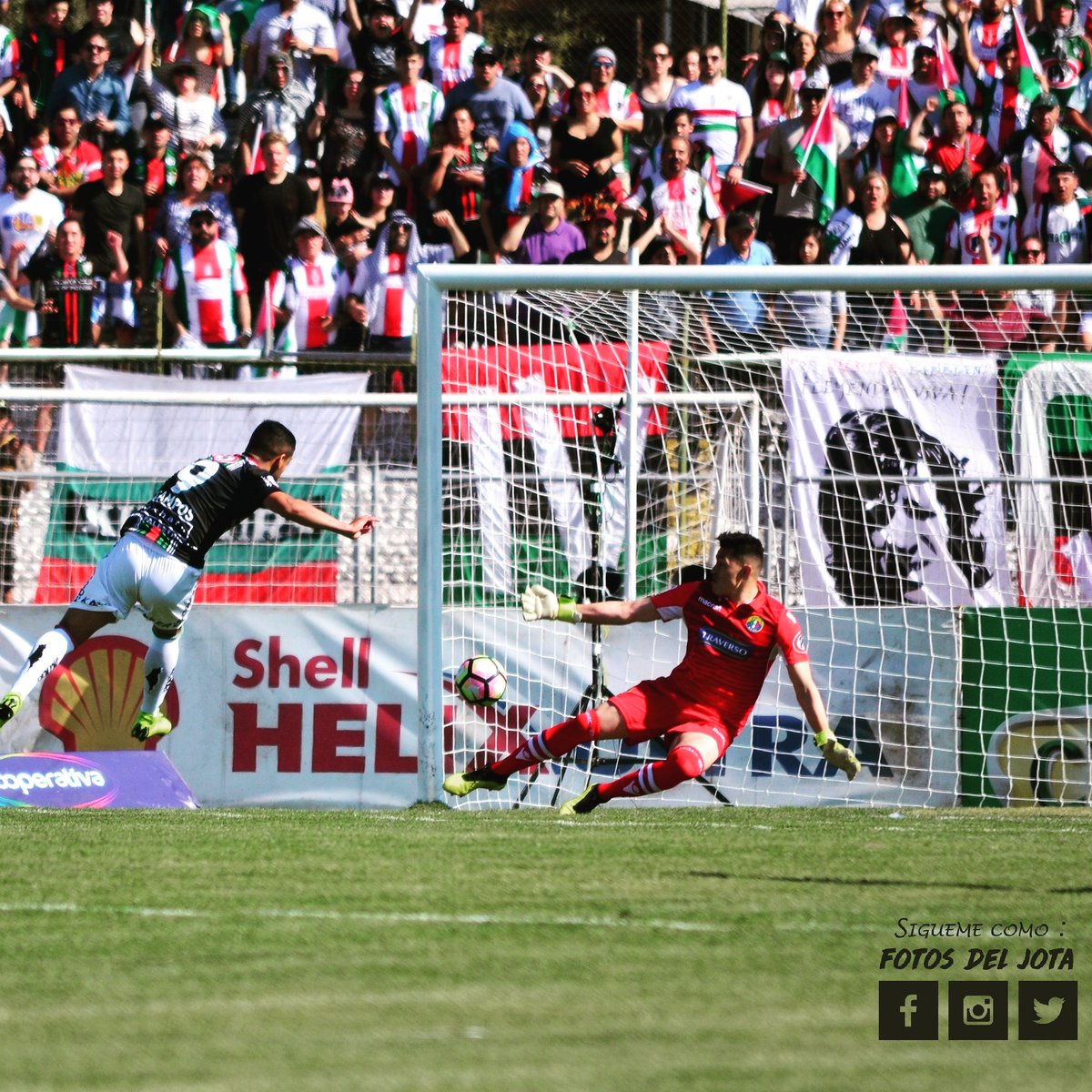 FotosdelJ's tweet photo. Copa Chile /@FotosdelJ
Matías Campos López de @CDPalestinoSADP anota el 1-0 frente a @audaxitaliano por Copa Chile
@LvpSport @saquedemetacl @Euforiamedioscl @PalestinaFutbol @el_baisano
#fotosdelj #CopaChile #CopaChileMTS #CopaChileMTS2018 #FinalCopaChile #palestinocampeon https://t.co/gkK3wyaNpW