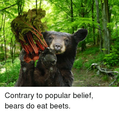 MrMorgan2020's tweet photo. @ds106dc Bears beat bare beets! #diglitclass #dc19 https://t.co/Ea1myV2f2S