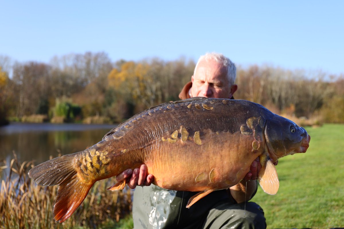 CarpSyndicate's tweet photo. A bloody cold weekend and bitter wind, but Paul managed this cracking fish and another new 30 for us.  #thecarpsyndicate #nashtackle #nashbait #scopex #vsfisheries @VSFisheries @SScottFish https://t.co/pYf2e9YQe4