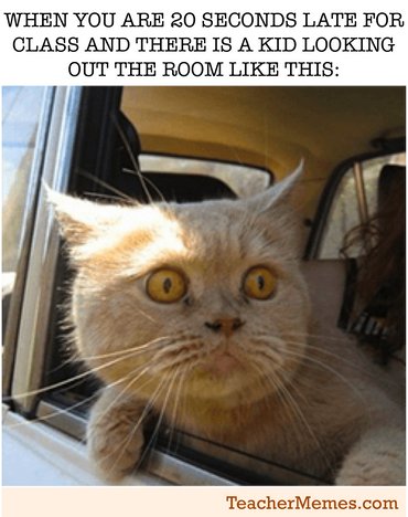 GoMsNelsonGo's tweet image. Hope you had a good first day back!