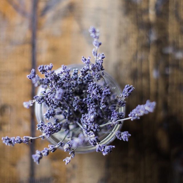 fernandpetal.ca tweet media