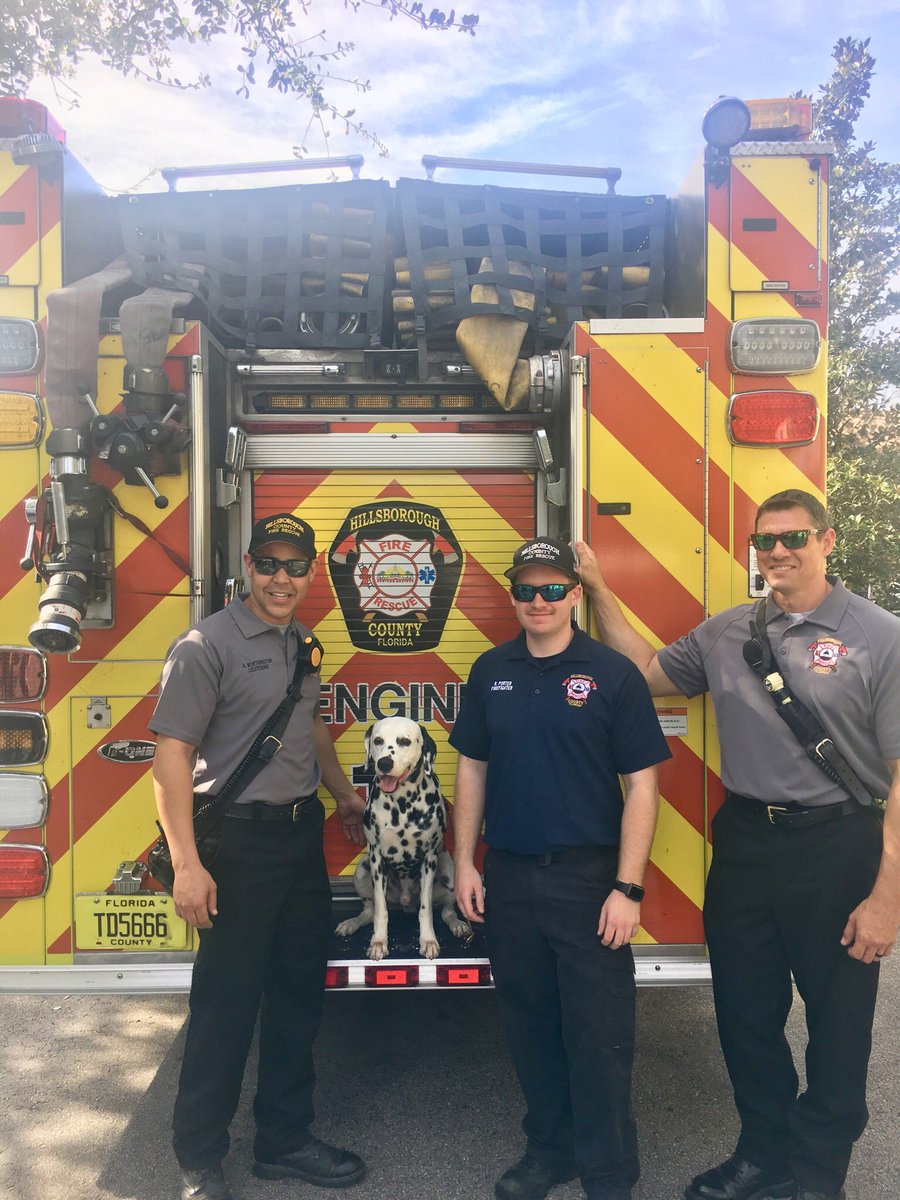 HillsFireRescue's tweet photo. Which type of dog loves fire engines?? Dalmatians!! Engine 11-A visited BluePearl Veterinary for their Family Fun Day and received love from this litter of Dalmatians. 

#HCFR #HillsboroughFL #Dogs #Puppies #Dalmatians https://t.co/4ZREBYCG20