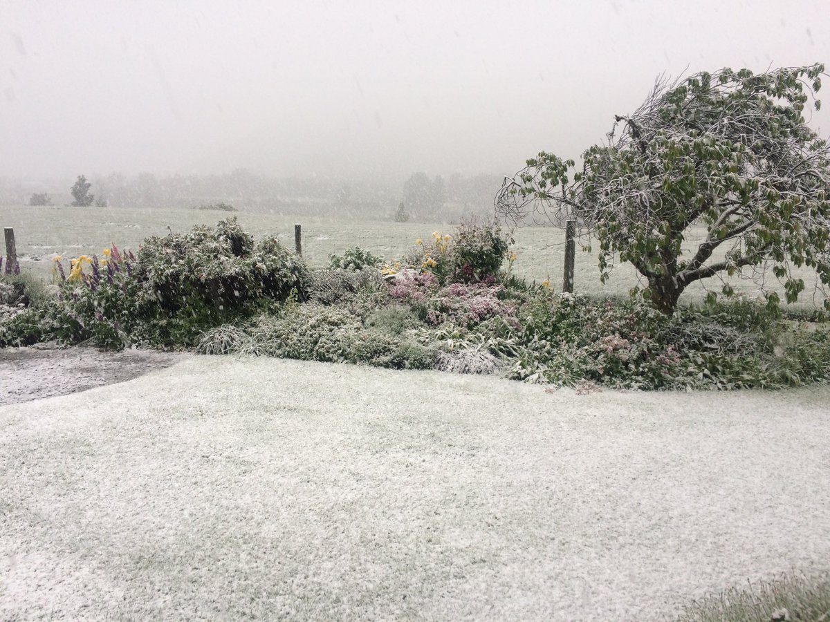 PinotMcQueen's tweet photo. It’s snowing!🌨💧☃️late spring early summer snowfall at #ArrowJunction Who doesn’t believe in #climatechange now? https://t.co/PgcBpXIfQb