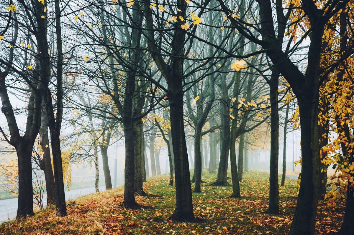 Daniel Casson tweet media