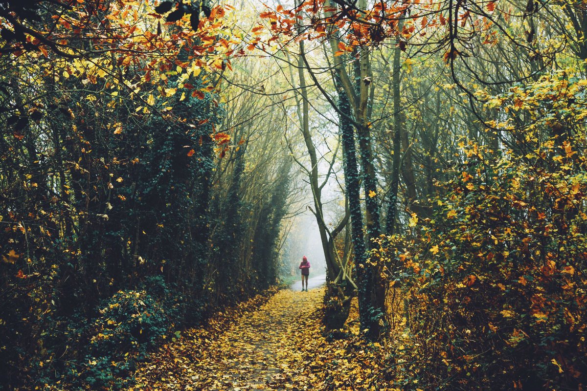 Daniel Casson tweet media