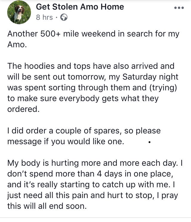 Amo Is Home! tweet media