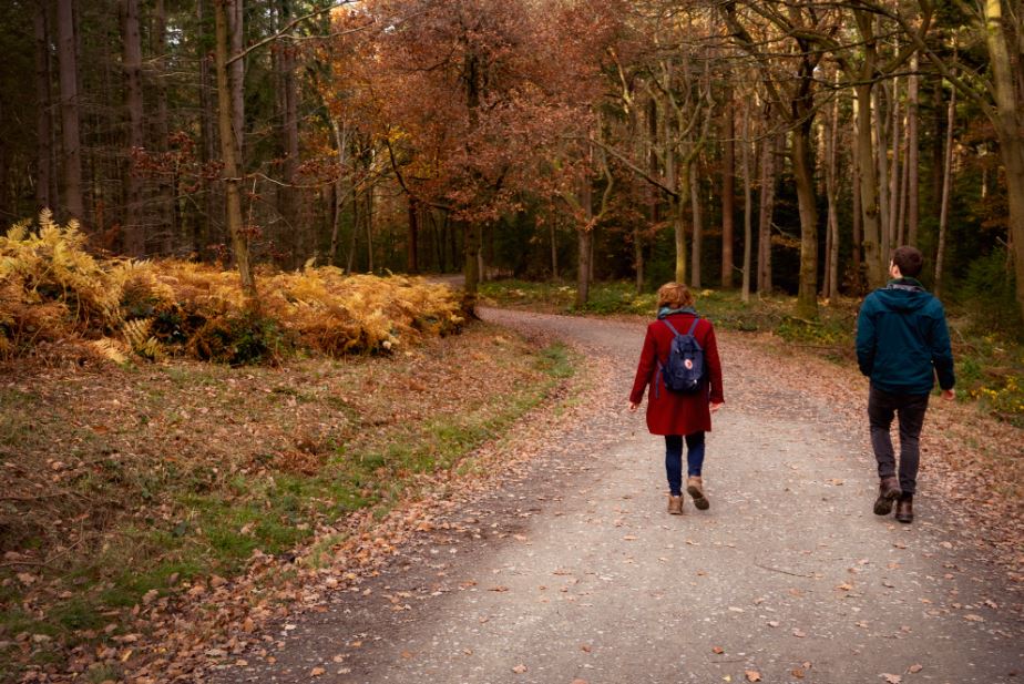 Have you been on an autumn walk this weekend? 

Remember to share your pictures with #AutumnLeafWatch to enter our photography competition. We'll be annoucing the top ten pictures at the end of the week so get your entries in before it's too late! 

forestryengland.uk/autumn/photo-c…