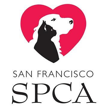 Mich20181's tweet photo. #CampFireMissingFoundPets.. Gina Hernandez created this amazing video with updated photos of animals in shelters🌺🌺https://t.co/ZQ3XMN0AdY Found Pets 16/11/18 (updated) California Camp Fire #CampFirePets #campf... https://t.co/LdFaoOWA64 via @YouTube Please Share🕊 https://t.co/zYfILjIifD