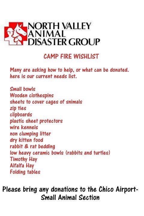 Mich20181's tweet photo. #CampFireMissingFoundPets.. Gina Hernandez created this amazing video with updated photos of animals in shelters🌺🌺https://t.co/ZQ3XMN0AdY Found Pets 16/11/18 (updated) California Camp Fire #CampFirePets #campf... https://t.co/LdFaoOWA64 via @YouTube Please Share🕊 https://t.co/zYfILjIifD