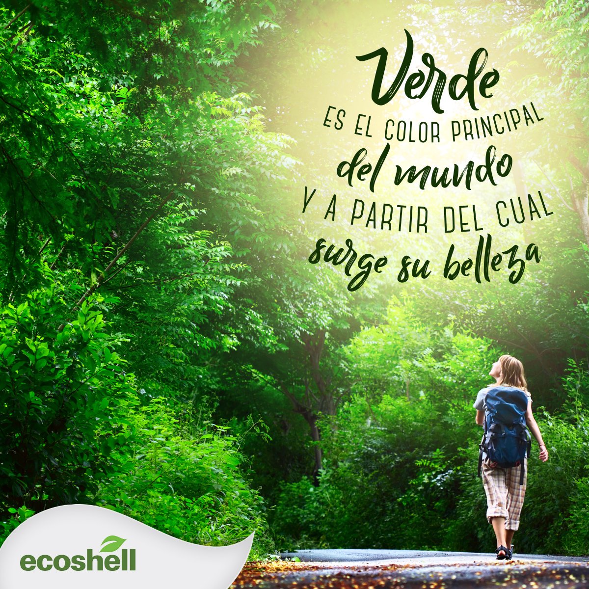 ecoshell_mx's tweet photo. #ECOnsciencia #Ecoshell #Natural #GoGreen #ECOnserva #PlanetaVerde #Sustentable #CuidandoElPlaneta #Ecológico #GreenWorld #Biodegradable #SaveThePlanet #Ecology #Nature #WeAreTheChange #CuidadoAmbiental https://t.co/Ra4FM9G7ji