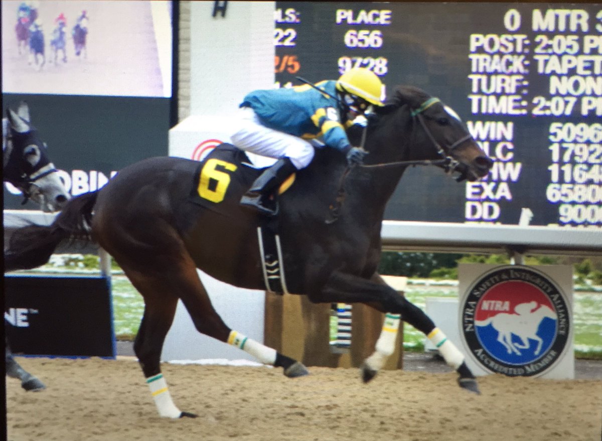 jorge__espitia's tweet photo. Congratulations @diving_panther for her 2nd career win @WoodbineTB it pays to #BetaToonieONtwomey #BetWoodbineTB @WoodbineGeller @WoodbineBratt https://t.co/k9GzFOwYlB
