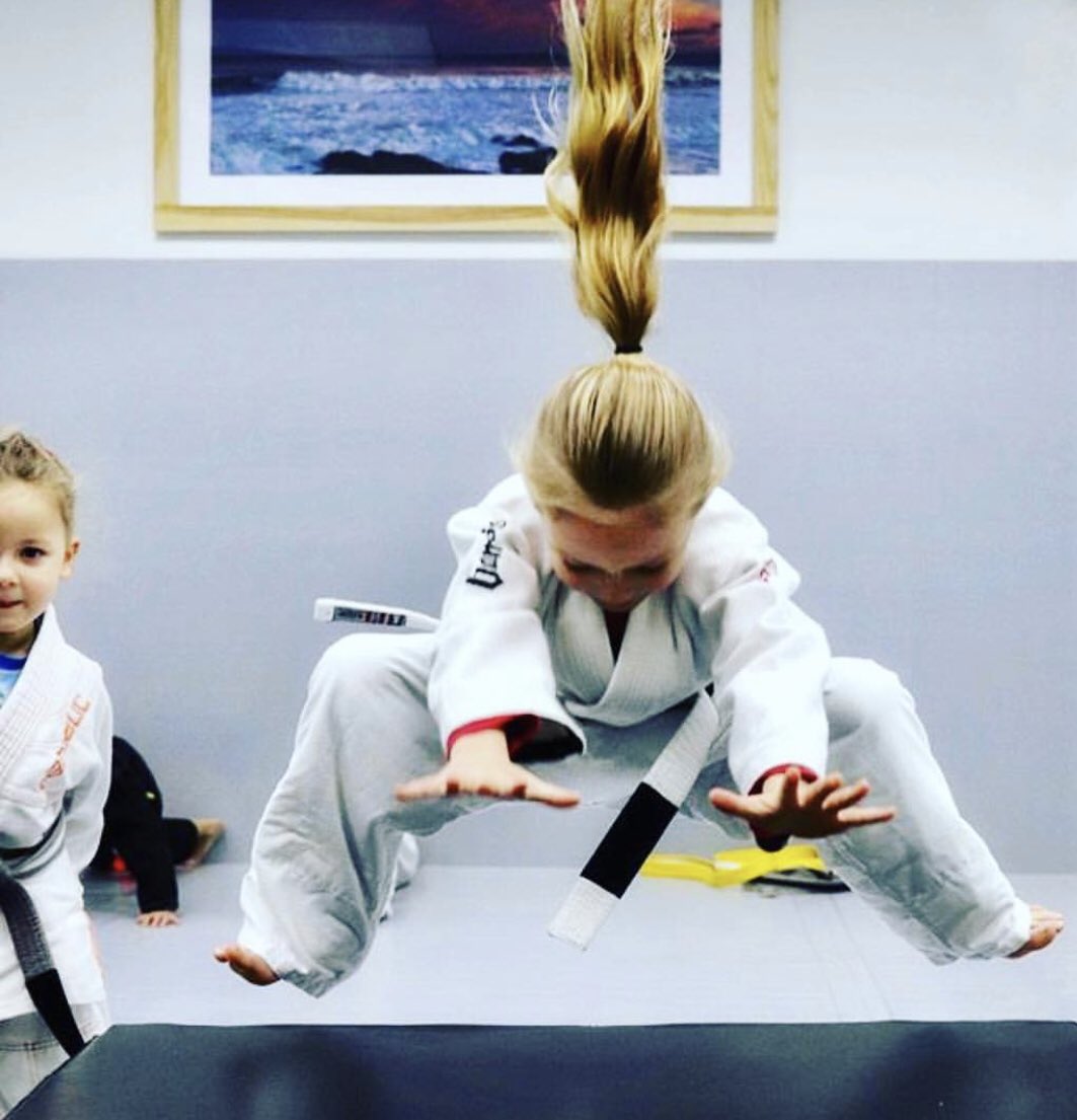 Two Swords BJJ tweet media