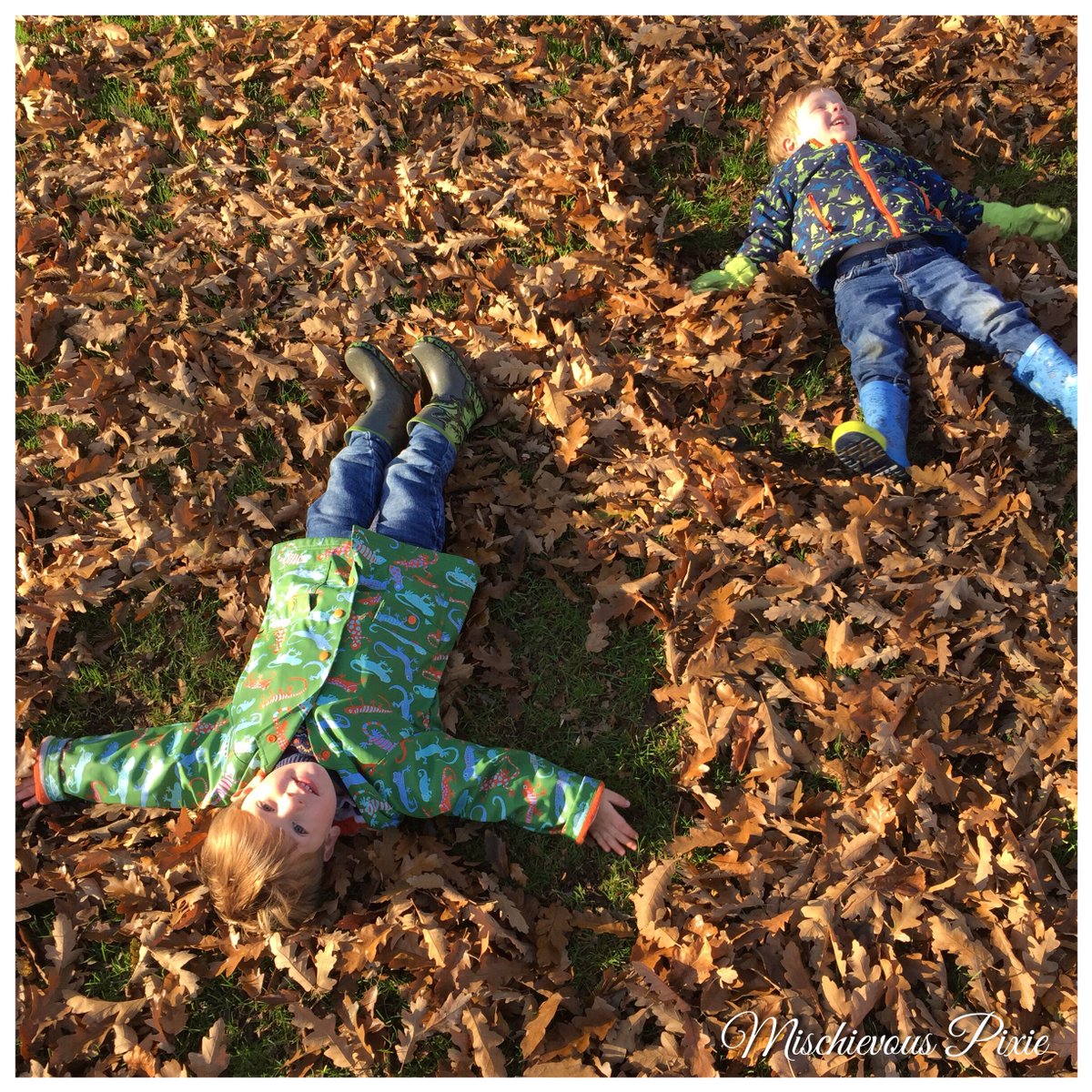 MissPixieUK's tweet photo. Think these monkeys had lots of fun at Sudbury Hall today 😄 #mischievouspixie #staywild #autumnangles https://t.co/dilY0SC2qN
