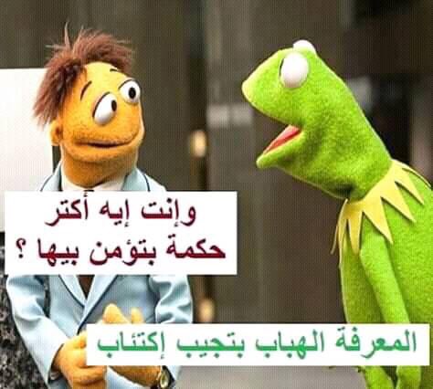 EssamMom's tweet image. 