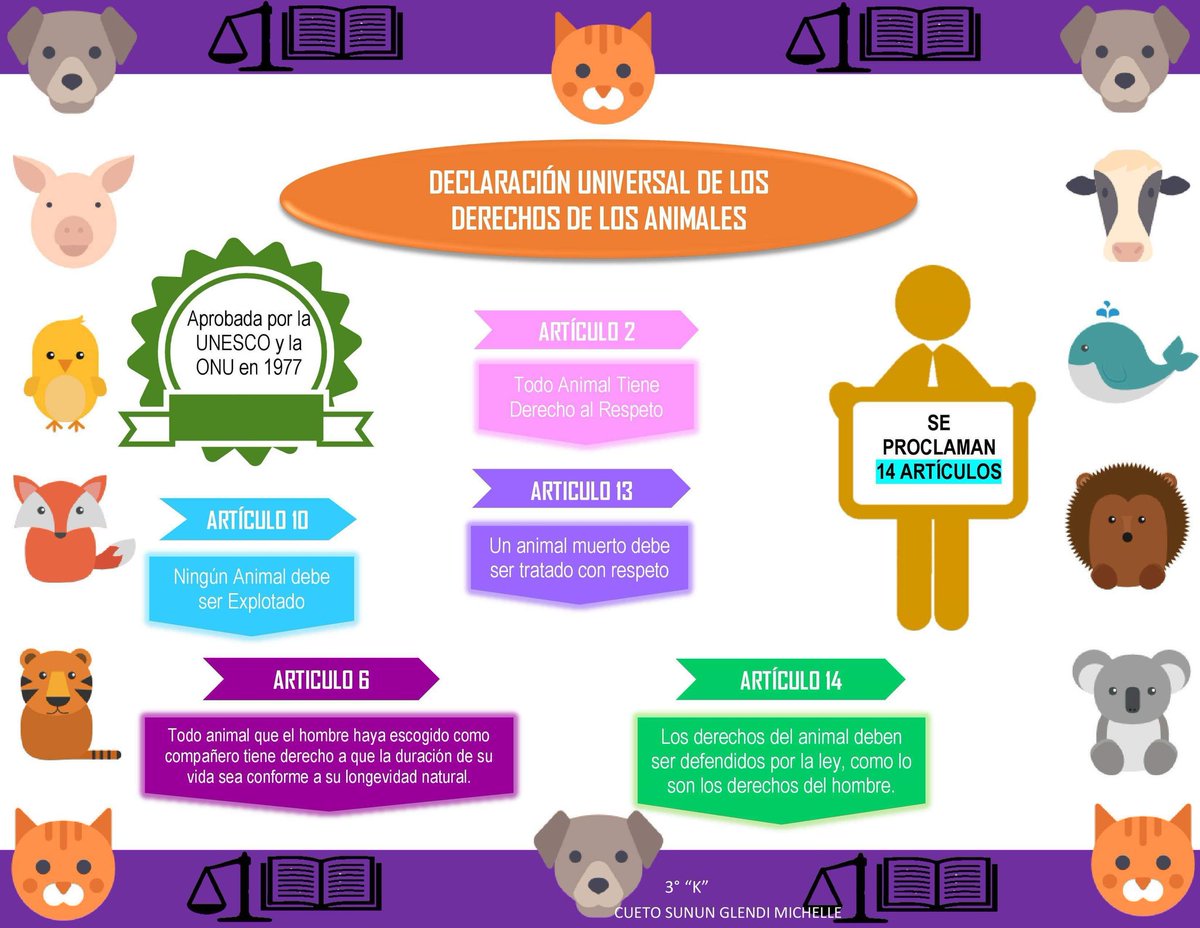 CuetoGlendi's tweet photo. @CcyTrevil 
#NoAlMaltratoAnimal https://t.co/gqYqQzNumI