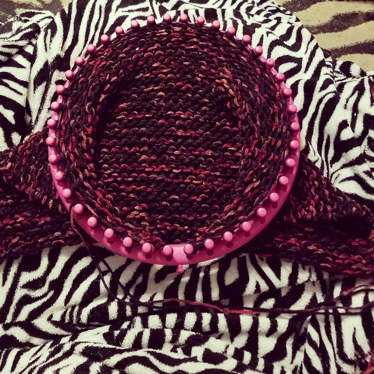 LuciferFlowers's tweet photo. My current project! Making my first knit shawl! Think cozy winter accessory. #knittingaddict #knittersofinstagram #knitting #knittingloom #knitter #crafty #creative #craftfair #hobby #creativehobby #positivehobbies #creatives #create #yarn #yarncrafts #fallprojects #cozy #shawl https://t.co/By2jPHw63X