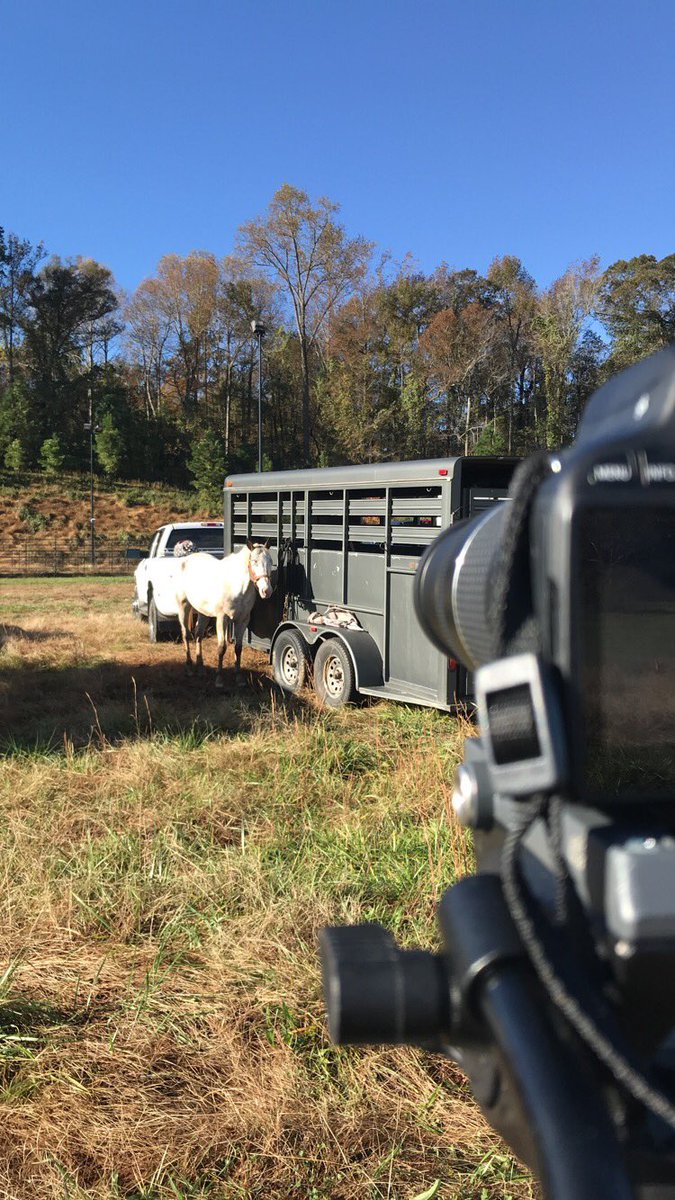 Thebuzz_JuliaR's tweet photo. If you haven’t already, go watch last weeks show to see what this horse can do for the community! #mountedpatrol @fmbuzztv https://t.co/Pdup5czQzc