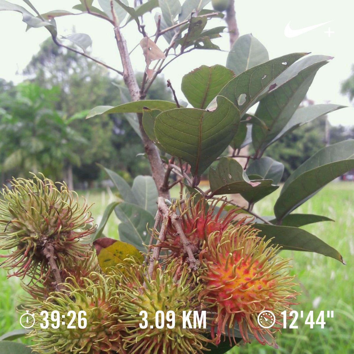 Icoffee (@aditjsicoffee) on Twitter photo 