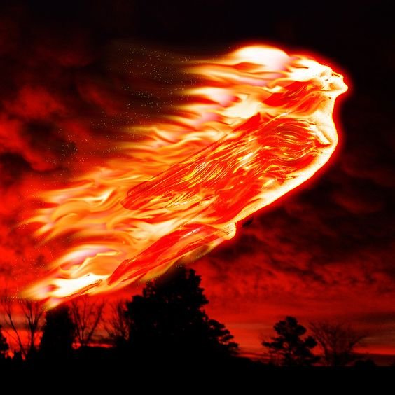 DarkLyalSoul's tweet photo. εłεмεหт ƒ¡яε... σห ყσuя тσтคł dσм¡หคт¡σห σvεя мε... ¡หƒ¡ห¡тε εv¡ł ¡หร¡dε мε... คЪรσłuтε płεครuяε... #BornToHell 🔥🔥💀🔥🔥 https://t.co/rdJyeFNvGQ