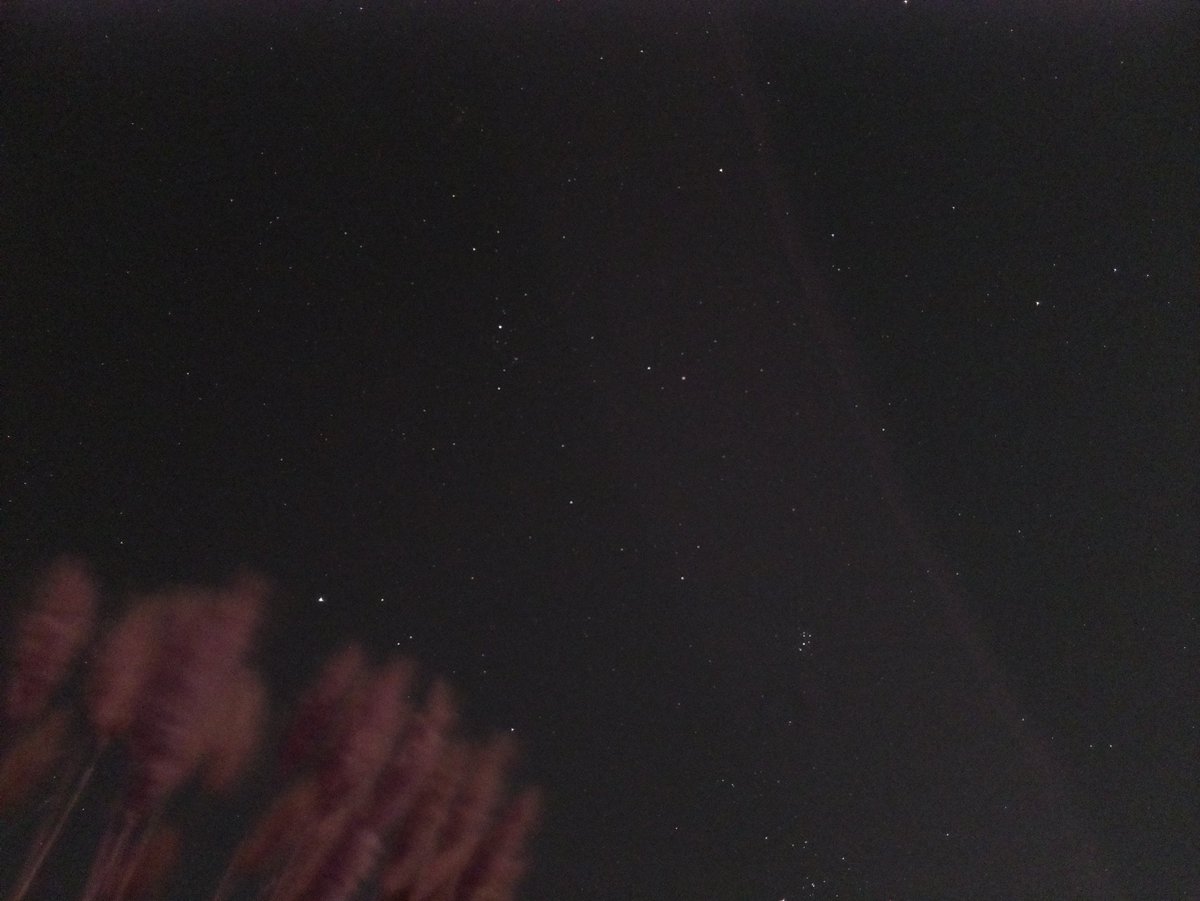 ProjectArcDev's tweet image. Managed to get some images from the v2 Pi camera. Hoping to run them through recognition and work out optimal parameters for configs.