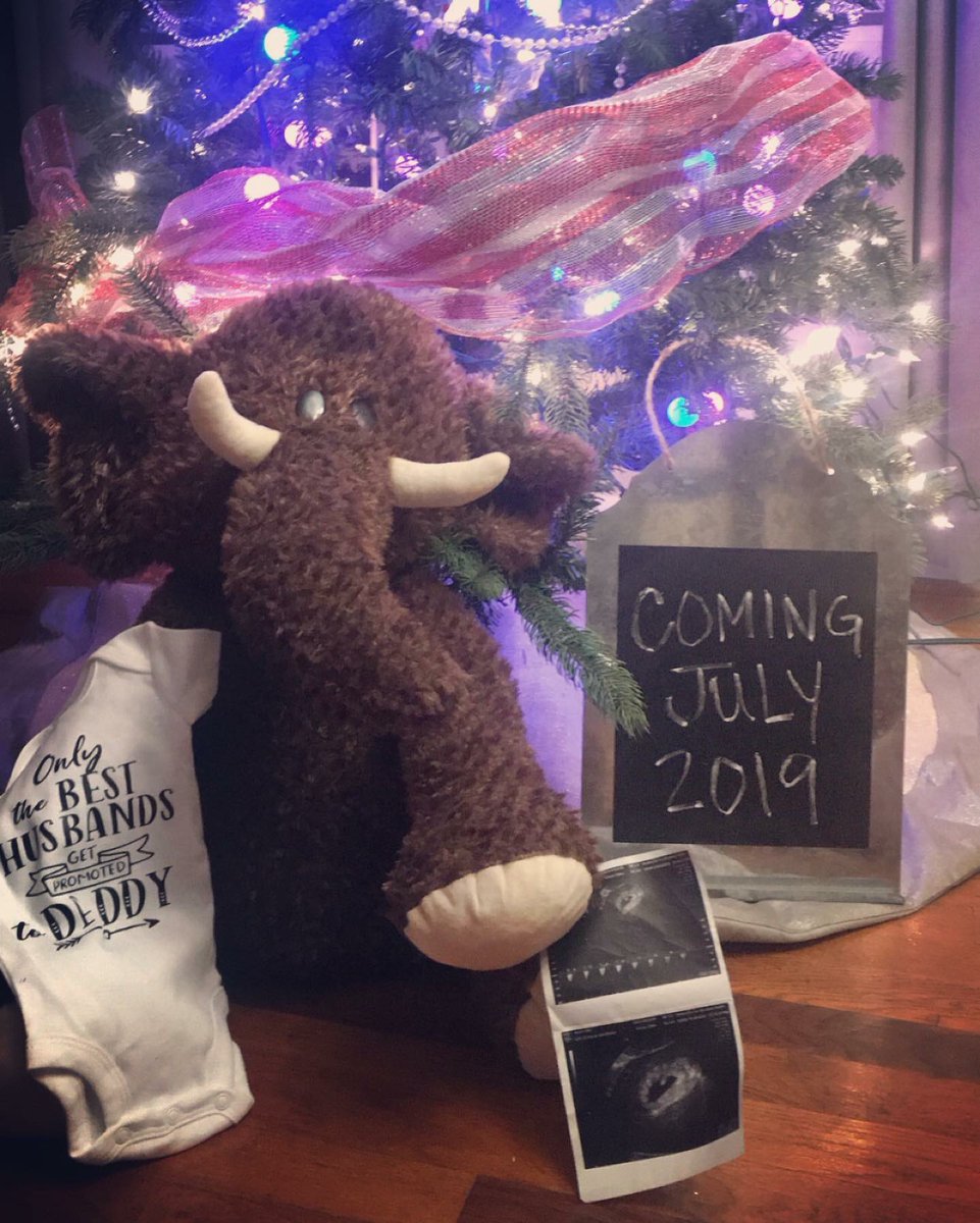 jesslee014's tweet photo. Santa came early this year. Baby Lee coming July 2019 ❤️🙈 https://t.co/KFOQcKWRDL
