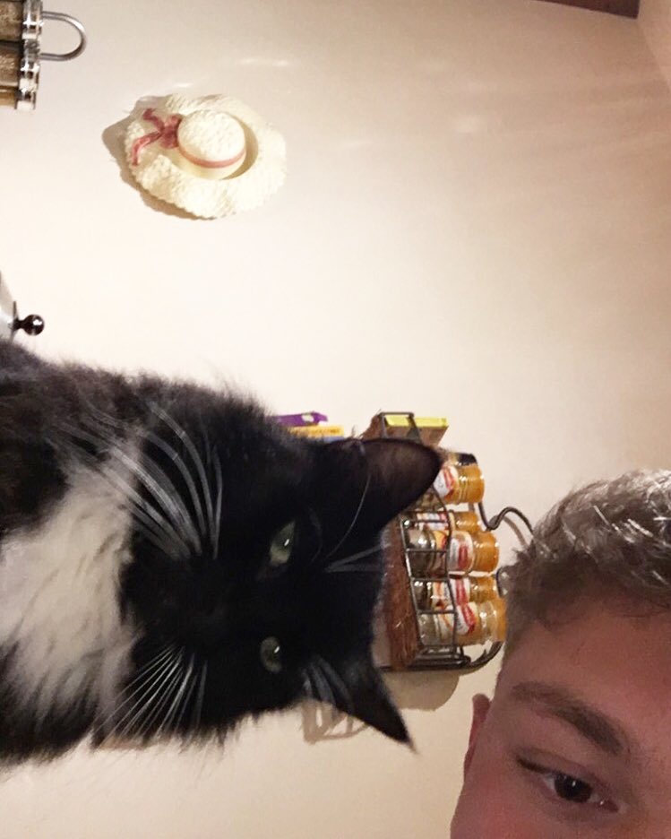 ⛵️Harry Ruff⛵️ (@harryruffell) on Twitter photo 