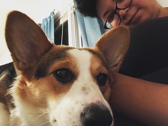 ReginaTwine's tweet photo. This is @corgi.named.remy! She is the sweetest and is always looking for new friends!
#dogsofinstagram #corgi #barkbox #SheDeservesABarkBox #cuddles #animals #awwpets https://t.co/sjncws6pUt https://t.co/kOaKEDK7Py