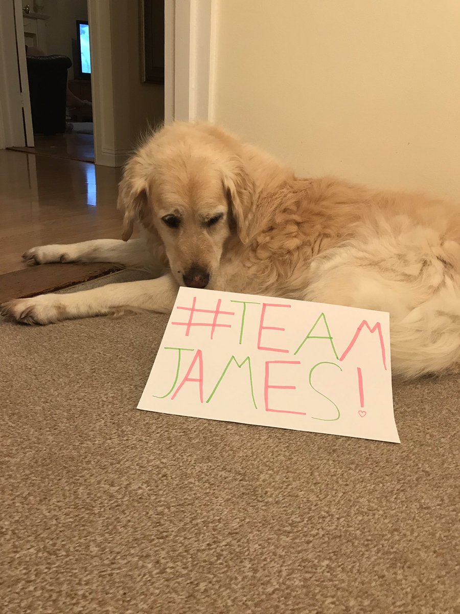 @Kellyanneball @AnneMarieSimps @TheVampsJames @TheVampsband #TeamJames