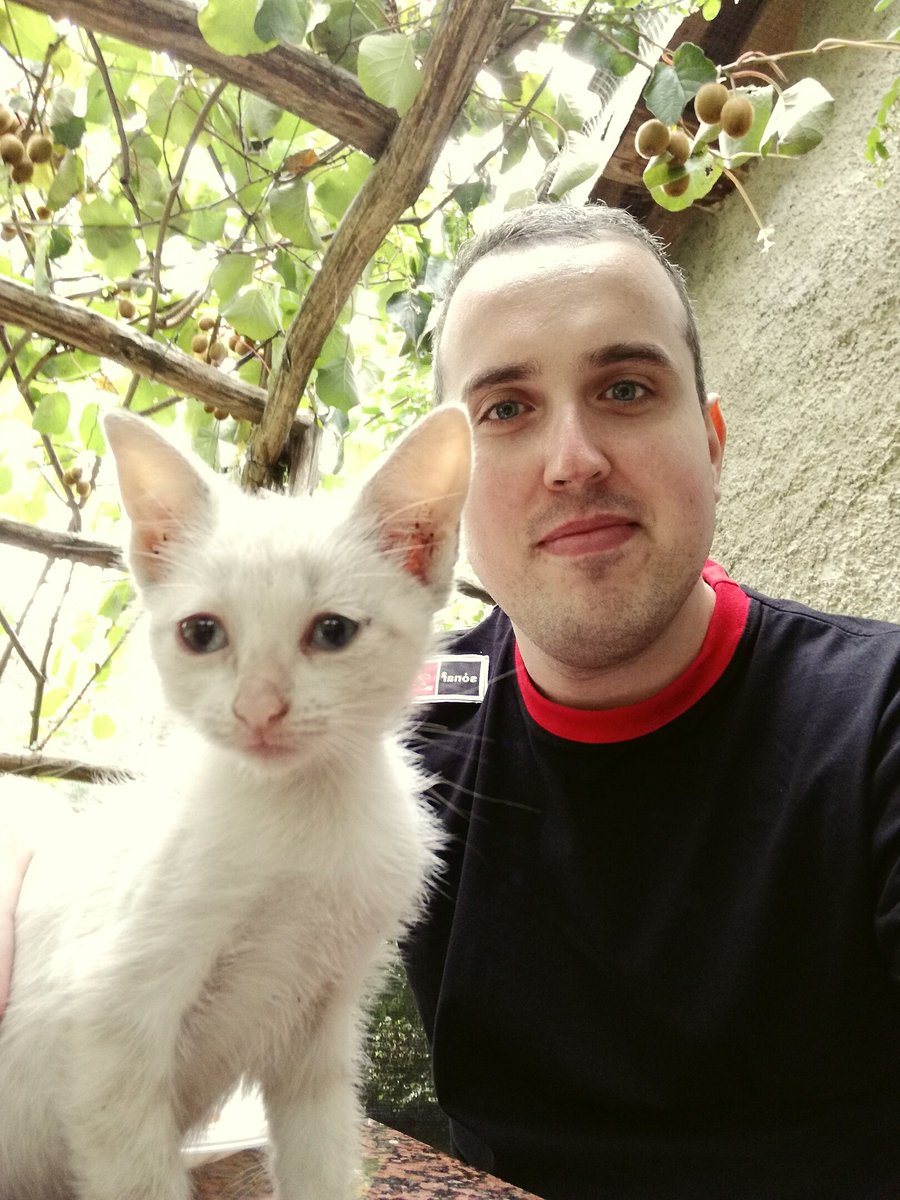 nemrodalvarez's tweet photo. No compres una vida, adopta a un amigo. #ÉchameUnaPata https://t.co/M5pVoJQXoH