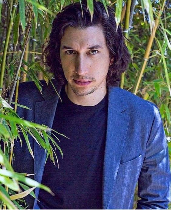 Happy Birthday Adam Driver !  