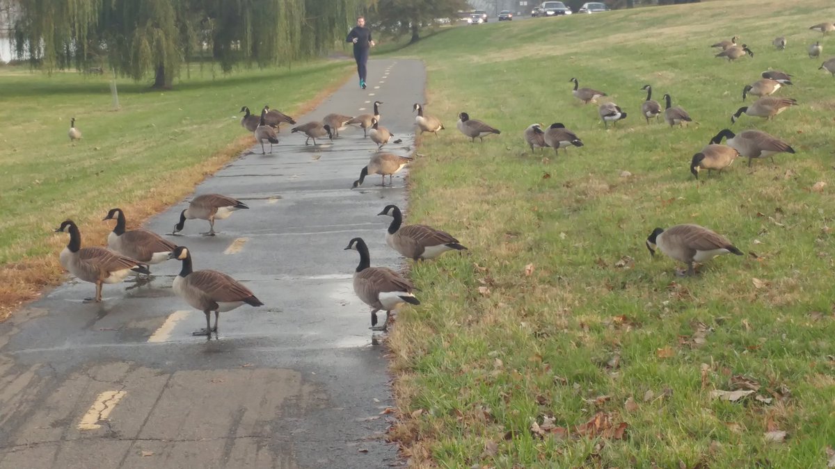 PJonsson11's tweet photo. Traffic jam! #relax #enjoylife https://t.co/o3q5zQzc3P
