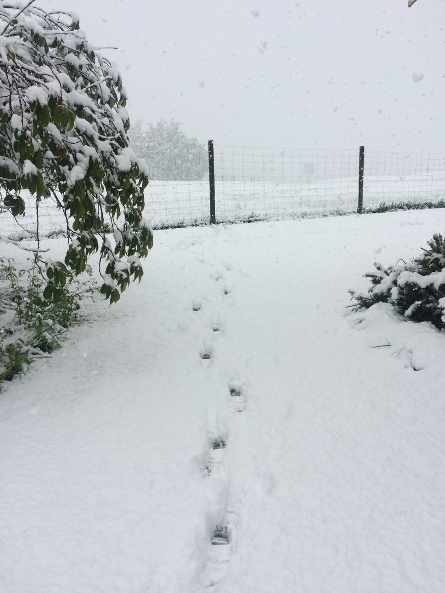 Carol Bunn tweet media