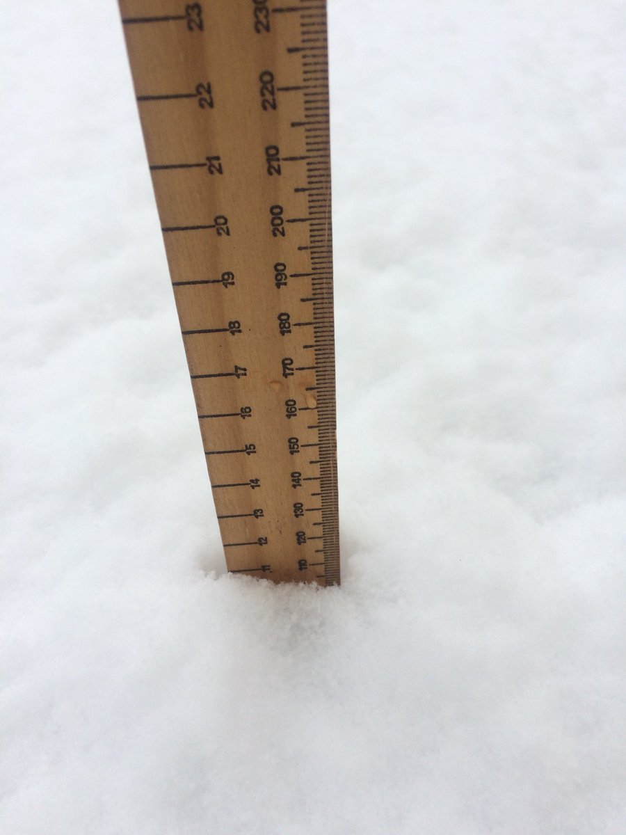 Carol Bunn tweet media