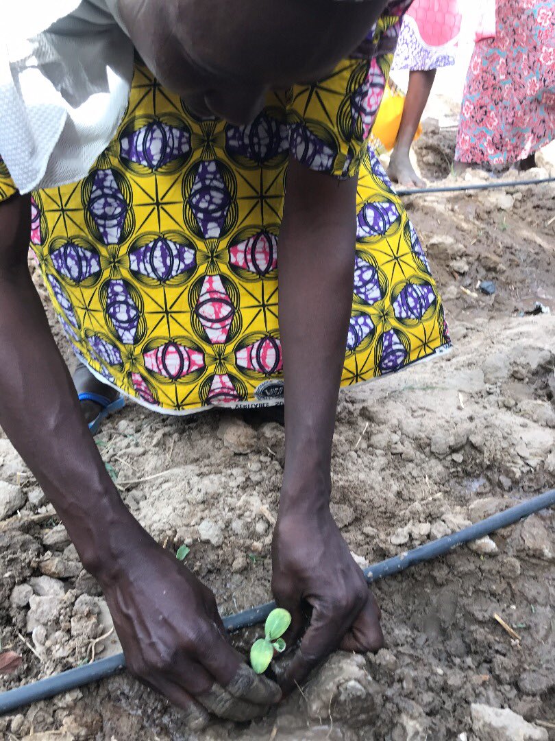 abatchajarawa's tweet photo. Reminder;;Borno State Agric-proj 2016-2017 by @BornoGovt @KashimSM plan to improve standard of living of vulnerable communities @FKMohammed1 @Sadiya_farouq @ProfOsinbajo @Sharksawn @Habuhk4 @DanBorno  #ksmdevborno https://t.co/xMVMdpd3tr