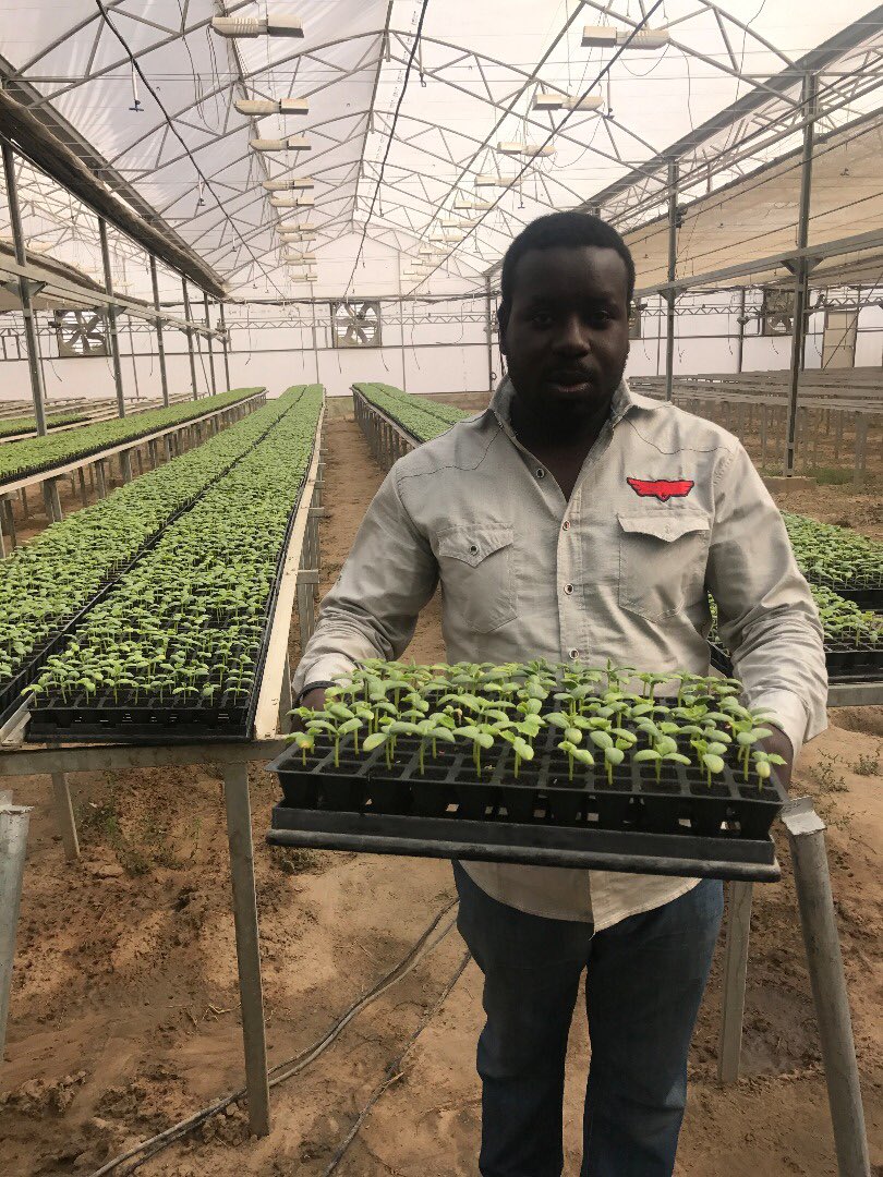 abatchajarawa's tweet photo. Reminder;;Borno State Agric-proj 2016-2017 by @BornoGovt @KashimSM plan to improve standard of living of vulnerable communities @FKMohammed1 @Sadiya_farouq @ProfOsinbajo @Sharksawn @Habuhk4 @DanBorno  #ksmdevborno https://t.co/xMVMdpd3tr
