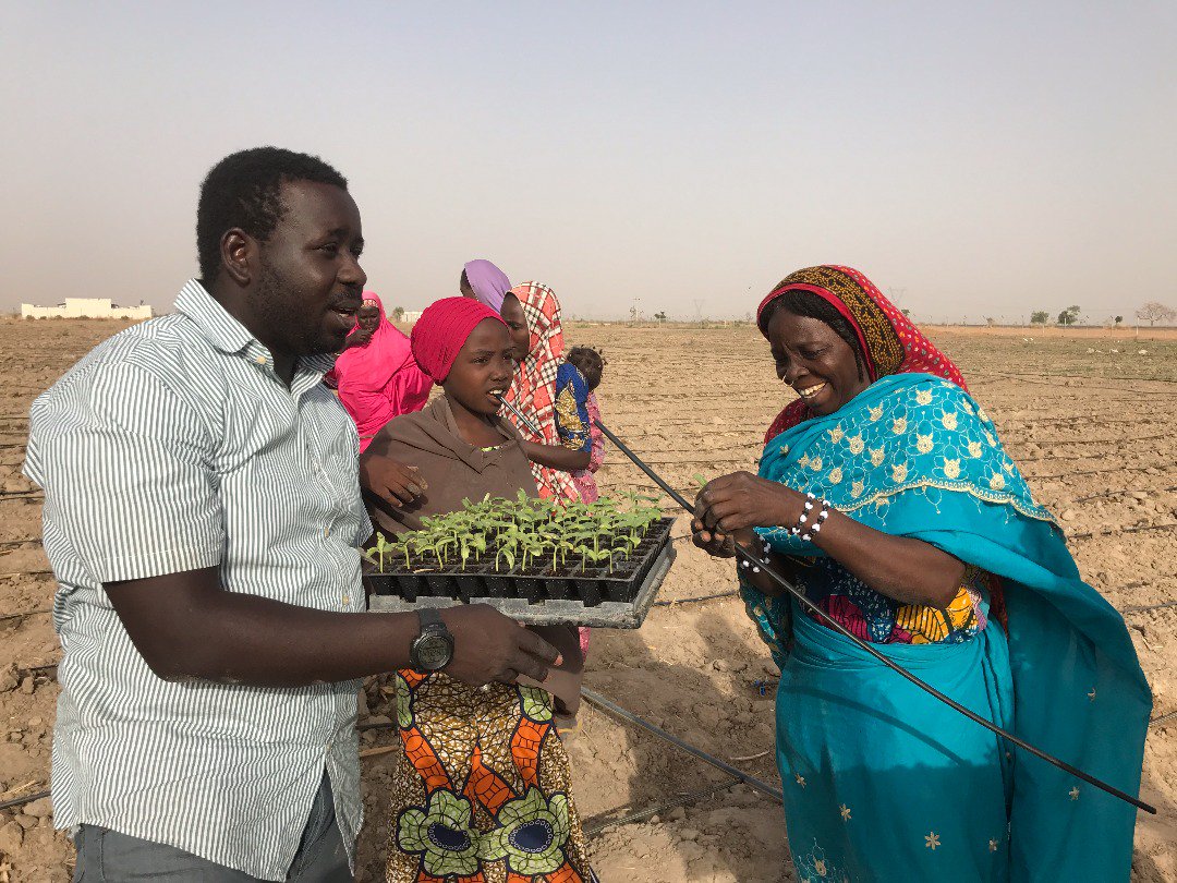 Abubakarjarawa's tweet photo. As Borno State is hit by the ravages of insurgency, the state government under the leadership of HE Govr Kashim see it as most to help its people through agriculture, by boosting its economy through irrigation; it supported it pple by distributing 1k drip irrigation kits. https://t.co/8M4ngMsAAB