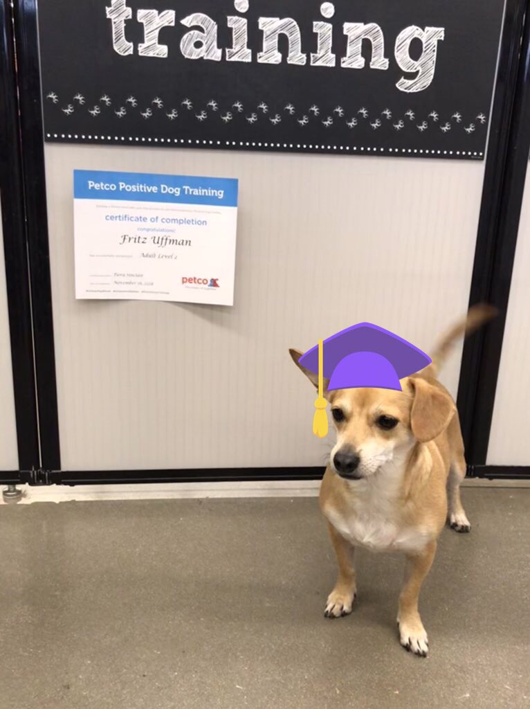 Amanda Uffman tweet media