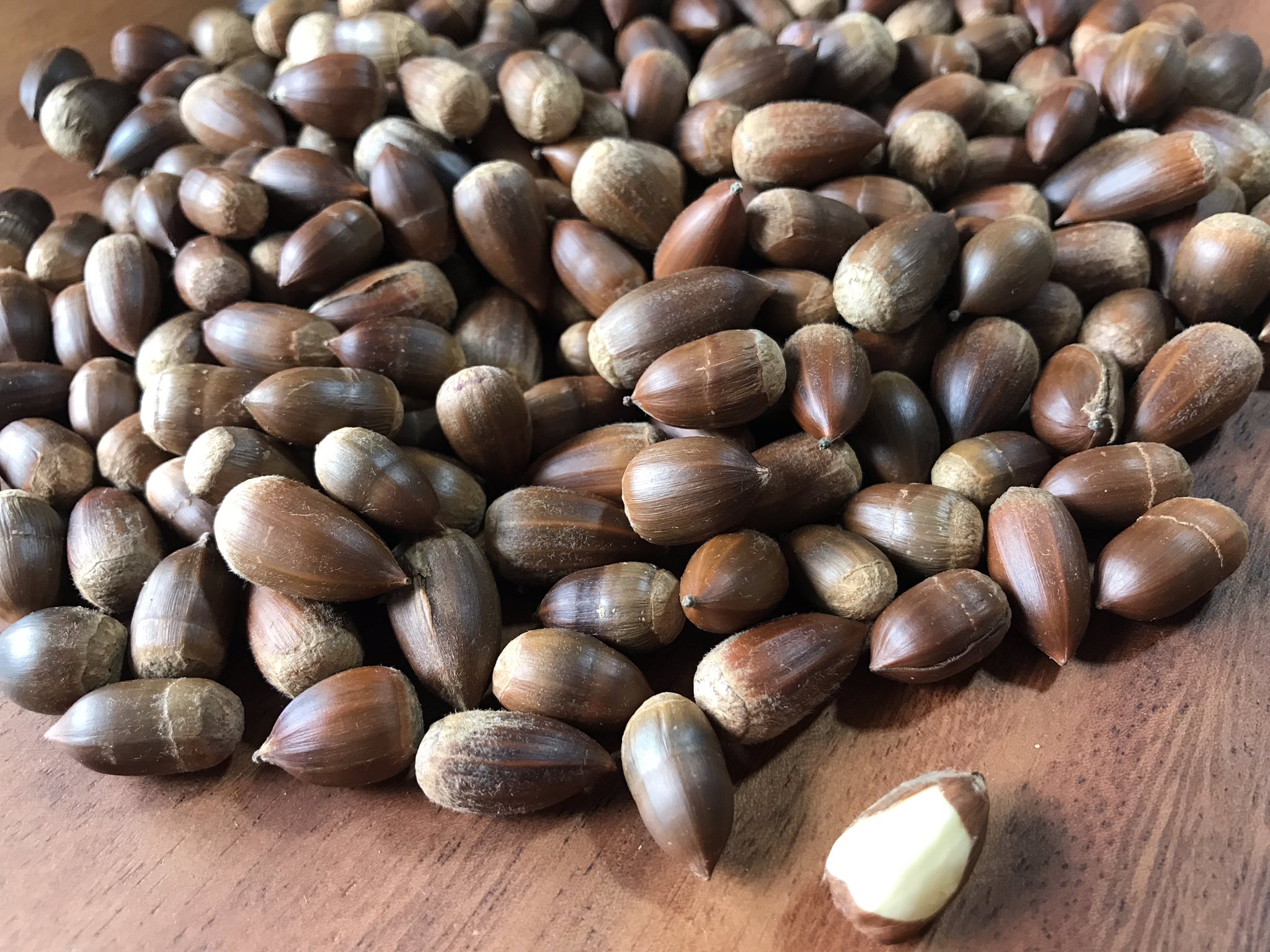 農家のお嫁さん きよ 椎の実食べよう 椎の実 シイの実 Nuts T Co Yztpcg1f2m Twitter
