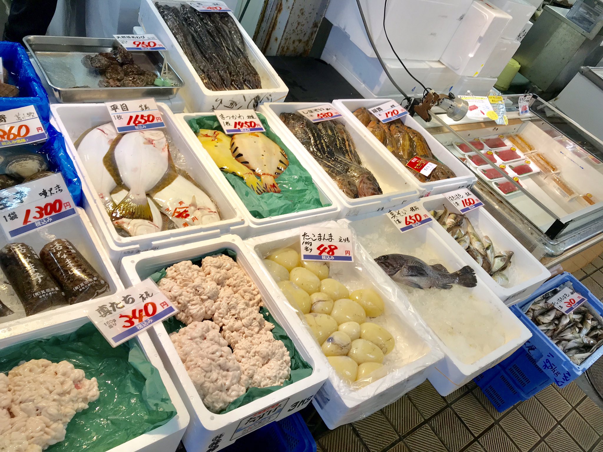 なっき 禁煙中 さっぽろ朝市 からおはようさん 週明け月曜日は特に高いものはなく安定した相場になってます 鮭漁もほぼ終わりなので他の魚種が増えてきた というか真たちが安い 今が底値なので オススメですねこれは 明日から雪の予報の札幌いよいよ鍋の