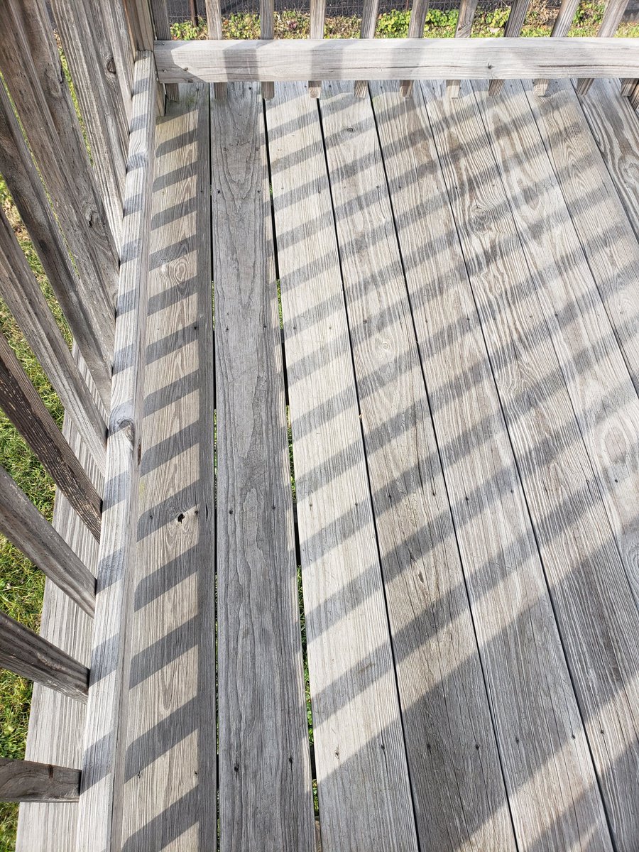 CLEVENGER tweet media