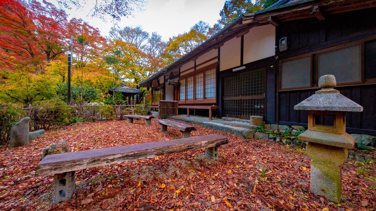 takumi_kurata's tweet photo. 桃源山 地蔵院の散り紅葉🍂

杉坂の山あいに佇む地蔵院。西山浄土宗に属し、永観堂の末寺だそうです。綺麗に散った落ち葉と、色づき進むカエデが印象的でした。
#京都
#紅葉 https://t.co/SftliOelg4