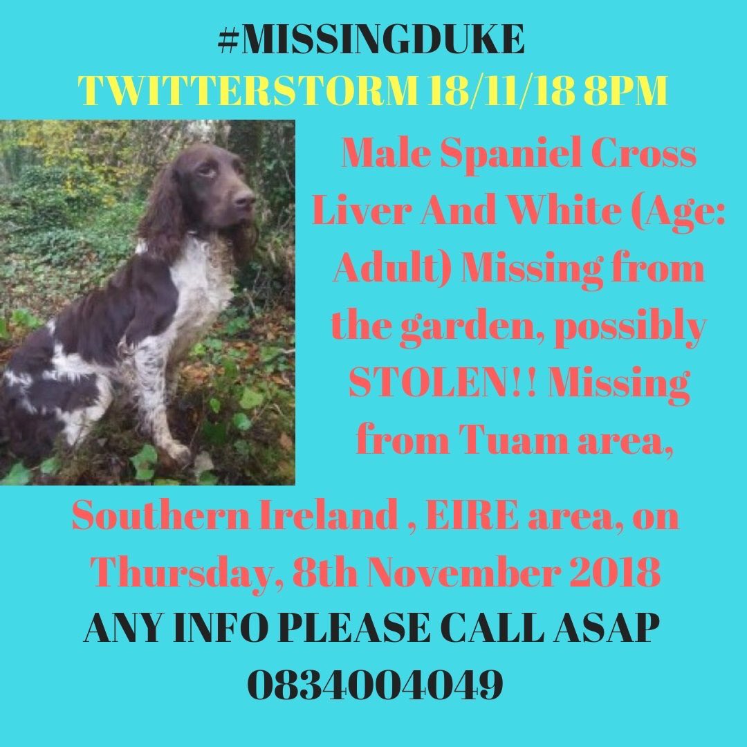 blacklab115's tweet photo. #missingduke #stolen please rt to #maketohottohandle https://t.co/LbR1m07jiS
