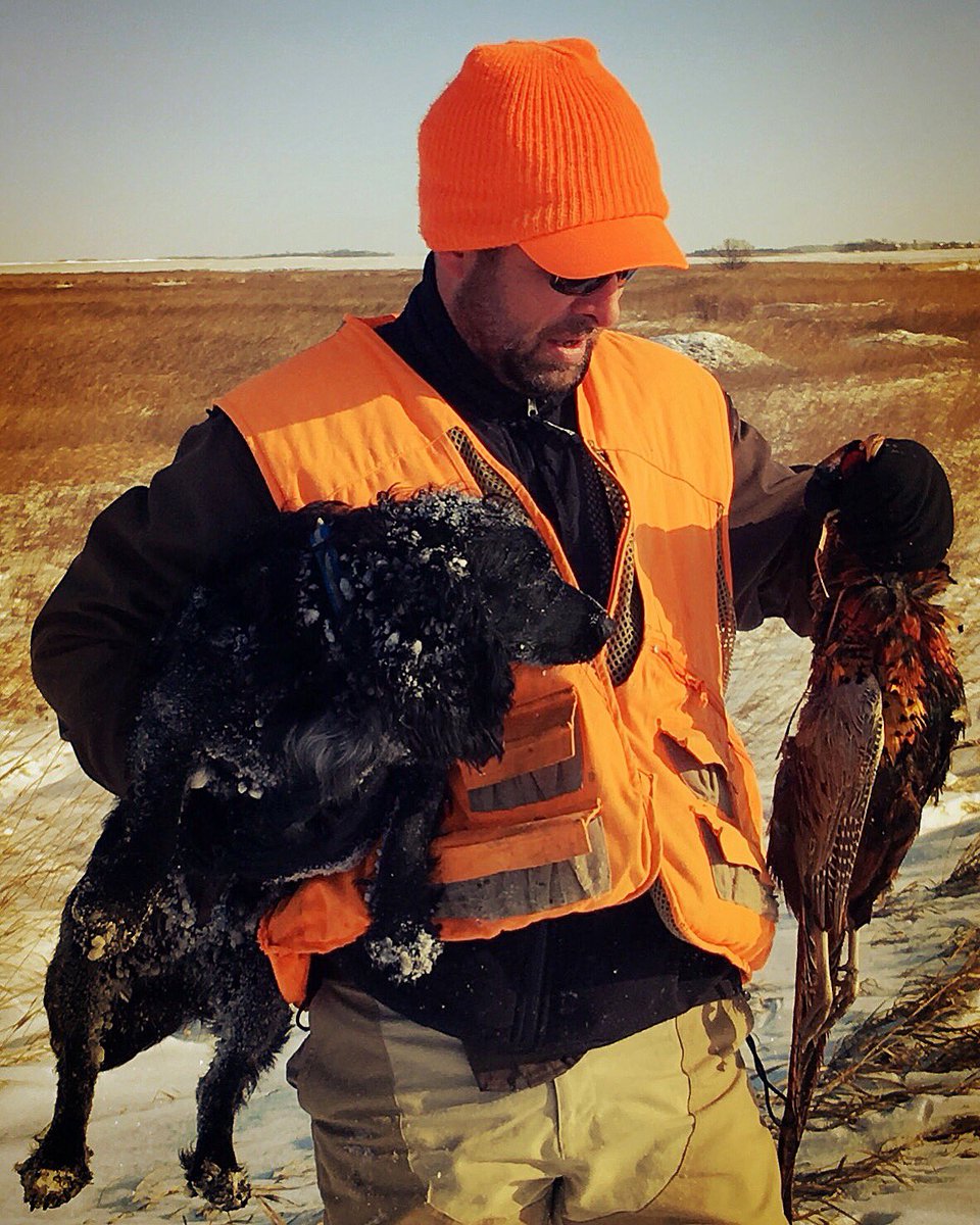 ryemill1's tweet photo. Gettin’ it done w the cockers this weekend.. @pheasants4ever #freshpowder #fieldbredenglishcocker #juggernautspaniels #cockerpower #pheasanthunting #pheasantsforever #publiclandsproud https://t.co/xO5SfKZepQ
