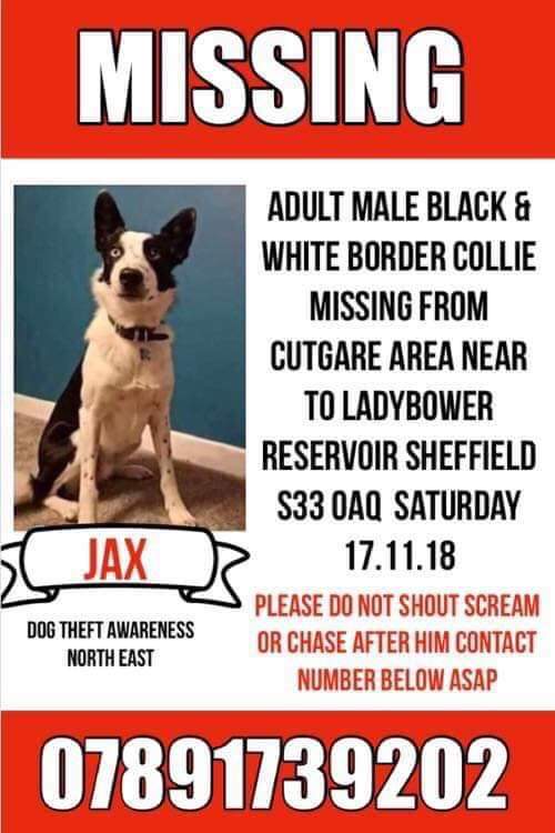 rockchick975's tweet image. URGENT #missingJax #missingcollie #ladybowerreservoir #sheffield @murphy_husky @ladybowerfisher #cutgare @ukanimals @LostPetsRetweet @LostboxUK @HunnyJax @FoundLostDogs @mars @SheffieldStar