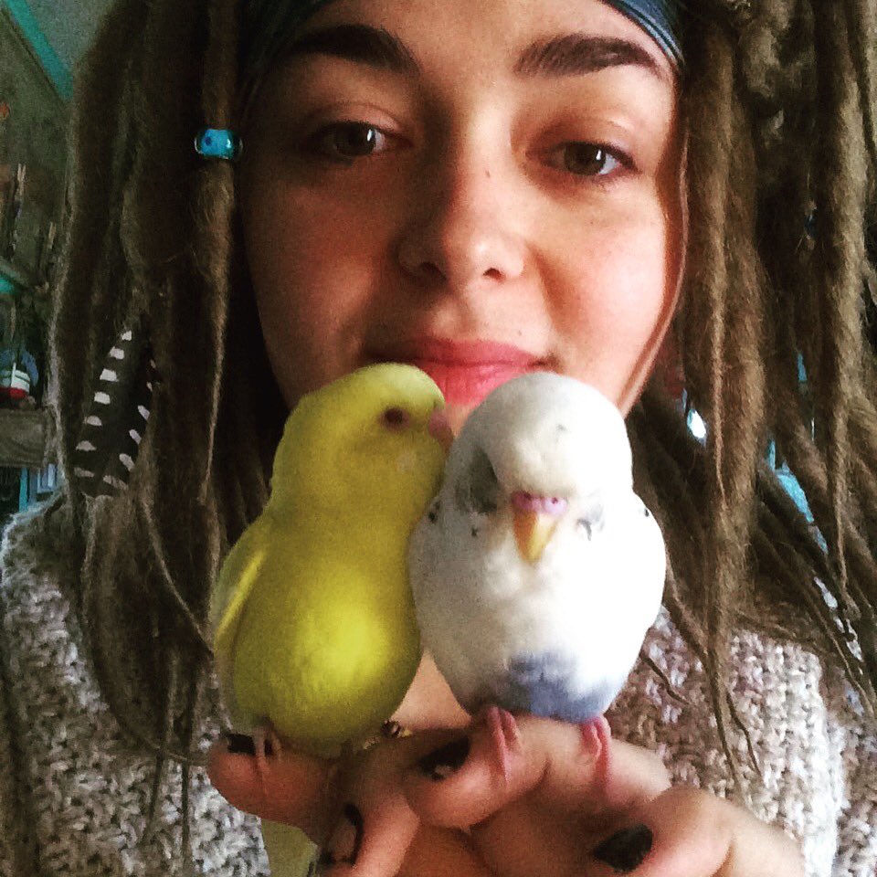 GypsyTear (@Gypsy_Raven) | Twitter