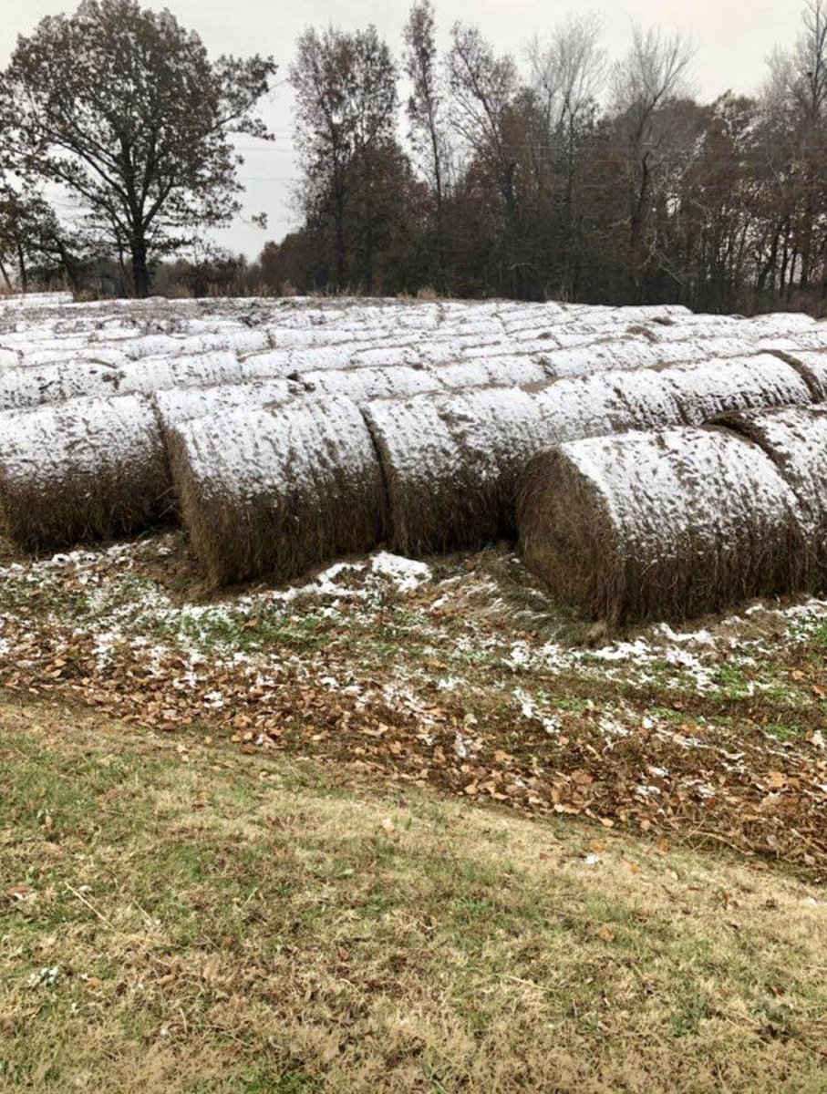 HayMapApp's tweet photo. Somebody call Kellogg's please and tell them the Frosted Mini Wheat harvest is ready https://t.co/Txg4KJef5k