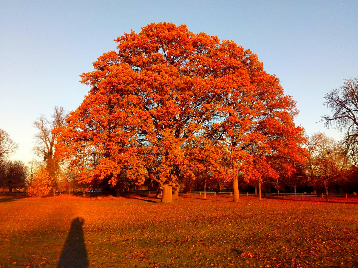 minimeexplorer's tweet photo. Goodbye England. Amazing fall colours. #England #fallcolours #Herefordshire https://t.co/WRZXLeEuKZ