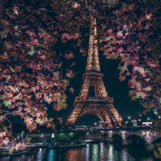 ambafrancejp_jp's tweet image. 秋も深まってまいりました。エッフェル塔も秋の装いです。
@LaTourEiffel #EiffelOfficielle 
📸Teddy Bob