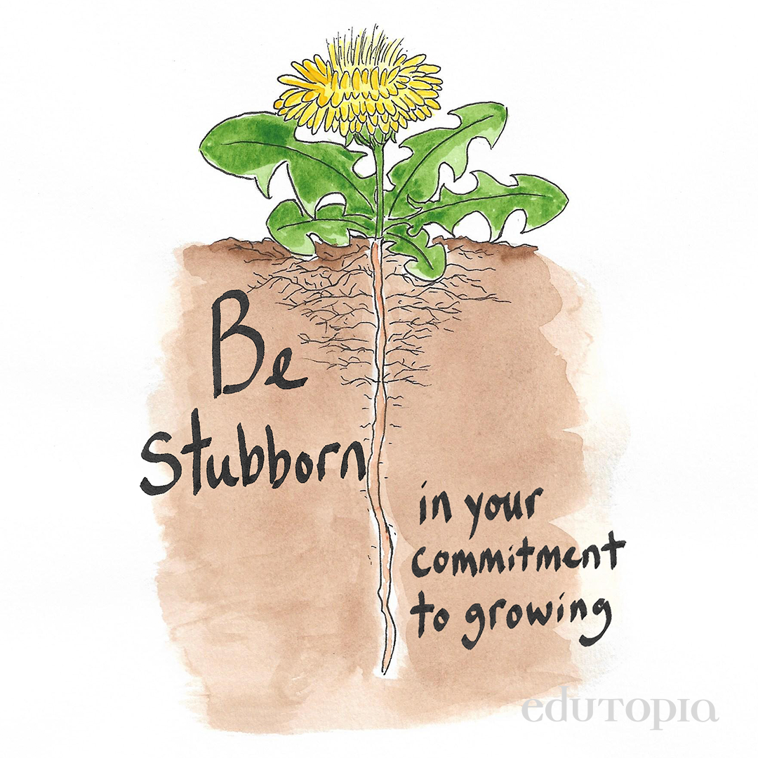 edutopia's tweet photo. The Lessons of the Dandelion: The ubiquitous yellow flower—beautiful and hardy—has worthwhile lessons for teachers embarking on their careers. https://t.co/fBLl6xYcPr
