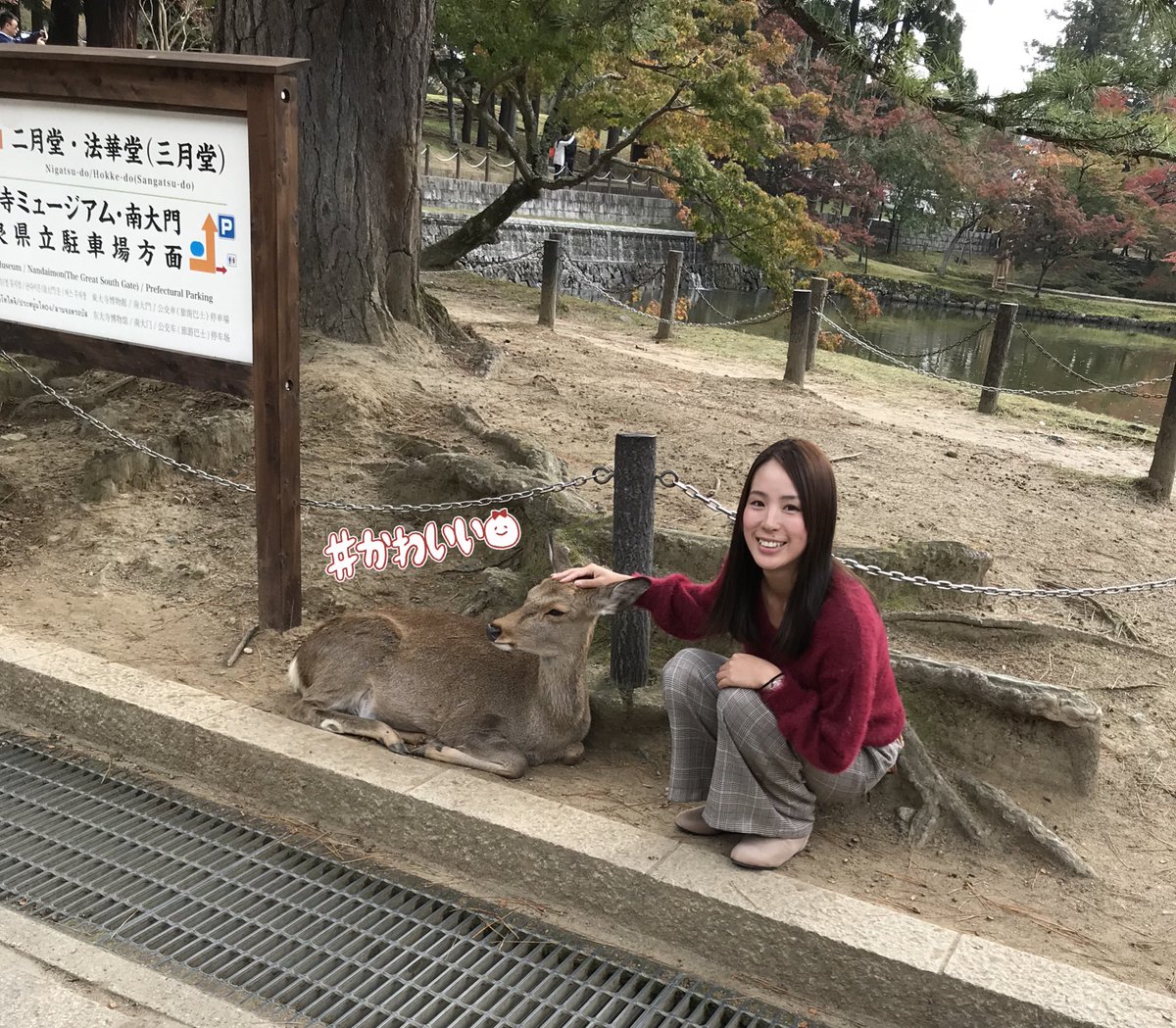 この前奈良行って来たよー\( ˆoˆ )/♡
紅葉見に行ったのに鹿に必死🦌💨笑
可愛かったぁあ😋✨
帰りに「大仏プリン🍮」買ったねんけどめっちゃ美味しかった(*^^*)🎶
きっと紅葉の時期もすぐに終わっちゃうんやろなあ😭!